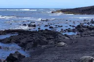 Kona Hawaii Volcanoes National Park Tour thumbnail 2