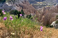 Rapid City Badlands National Park Day Tour thumbnail 6