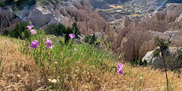 Rapid City Badlands National Park Day Tour - Image 6