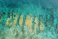 Key West Snorkel Adventure thumbnail 3