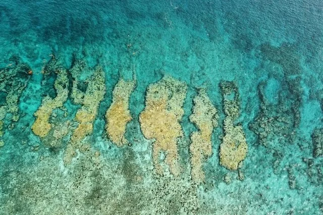 Key West Snorkel Adventure - Image 3