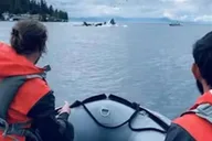 Ketchikan Zodiac Boat Adventure thumbnail 3