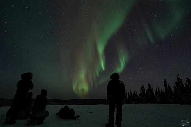 Fairbanks Dog Sledding and Northern Lights Combo - Image 5