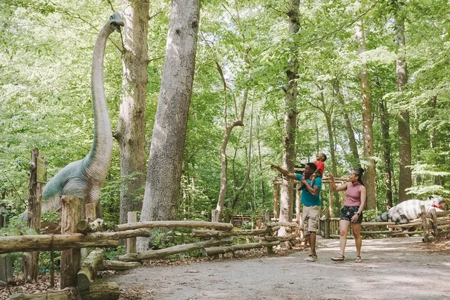 Virginia Living Museum Adventure - Image 2