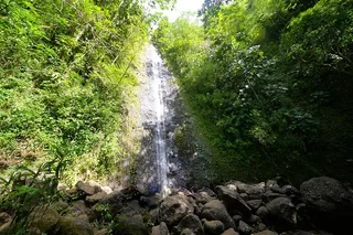 Honolulu Waterfall Hike