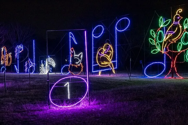 Branson Christmas Light Drive-Thru - Image 2