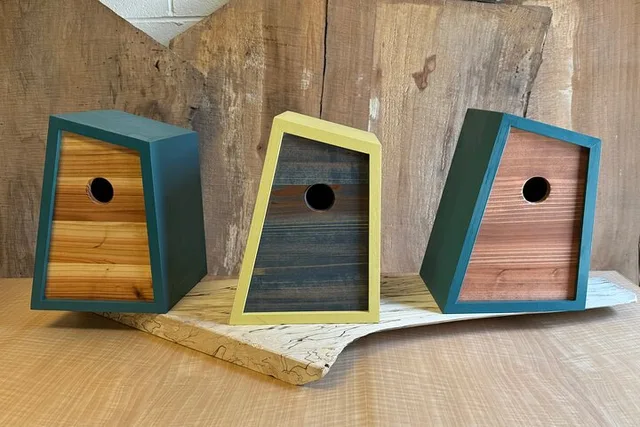 Lancaster Birdhouse Woodcraft Class - Image 1