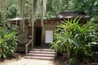 New Orleans Plantation and Airboat Tour thumbnail 3