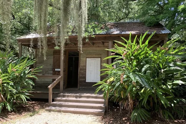 New Orleans Plantation and Airboat Tour - Image 3