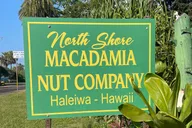 Oahu Circle Island Tour North Shore and East Side thumbnail 6