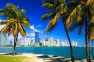 Miami Downtown Tour with Millionaire’s Row Cruise thumbnail 5