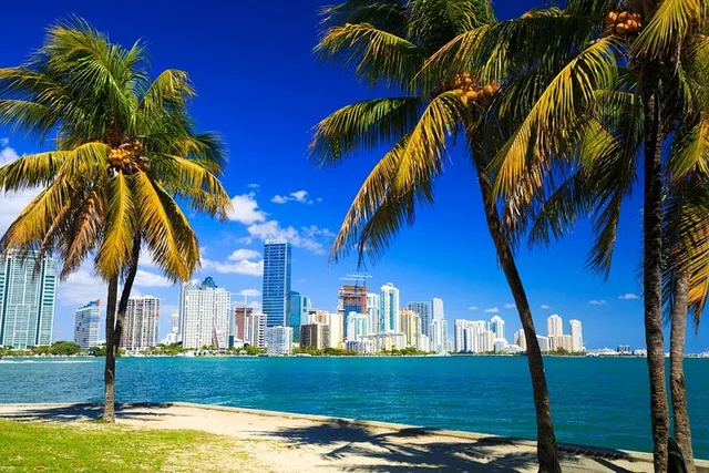 Miami Downtown Tour with Millionaire’s Row Cruise - Image 5