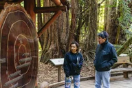 San Francisco Muir Woods and Sausalito Bay Cruise thumbnail 2
