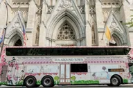 New York City Tea Bus Tour with Live Entertainment thumbnail 5