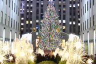 Brooklyn Dyker Heights Christmas Lights Tour thumbnail 4