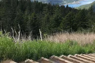 Juneau Taste of Alaska Tour thumbnail 2