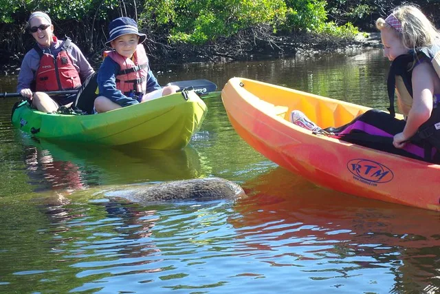 Fort Myers Kayak Eco Tour - Image 1