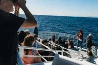 Long Beach Whale Watching Cruise thumbnail 4