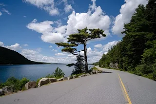 Bar Harbor Acadia Tour with Somes Sound & Villages 3 hr