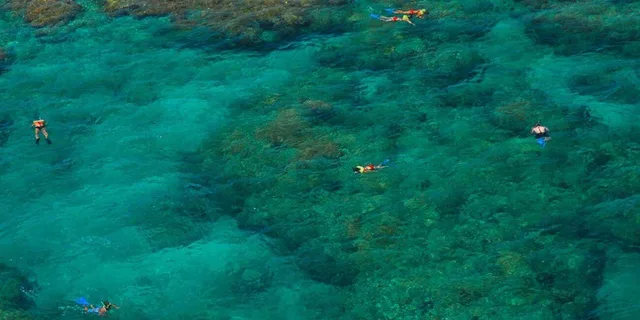 Key West Reef Snorkeling with Drinks - Image 5