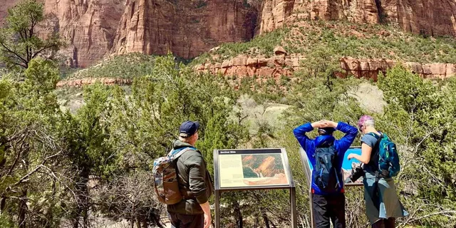 Las Vegas Zion National Park Day Trip - Image 4