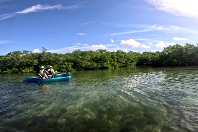 Bradenton Pedal Kayak Mangrove Tunnel Tour - Image 4