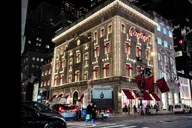 New York City Private Holiday Lights Tour by Car thumbnail 2