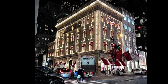 New York City Private Holiday Lights Tour by Car - Image 2
