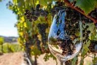 Los Angeles Wine Tour to Temecula thumbnail 2