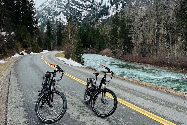 Whitefish E-Bike Shuttle to Going-to-the-Sun Road - Image 4