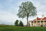 Washington DC Mount Vernon & Old Town Alexandria Tour thumbnail 6