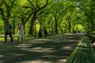 New York City Central Park Pedicab Tour thumbnail 5