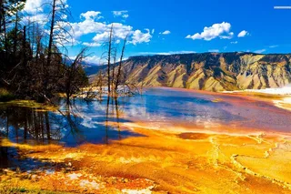 Yellowstone National Park Upper Loop Tour