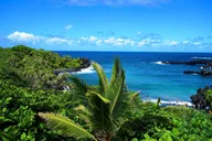 Maui Road to Hana Waterfalls and Black Sand Beach Tour thumbnail 1