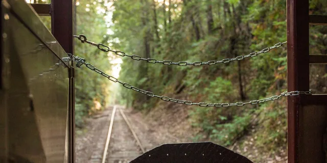 Mendocino Skunk Train Wolf Tree Turn Ride - Image 4