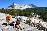 Yosemite Private Tour for Families thumbnail 6