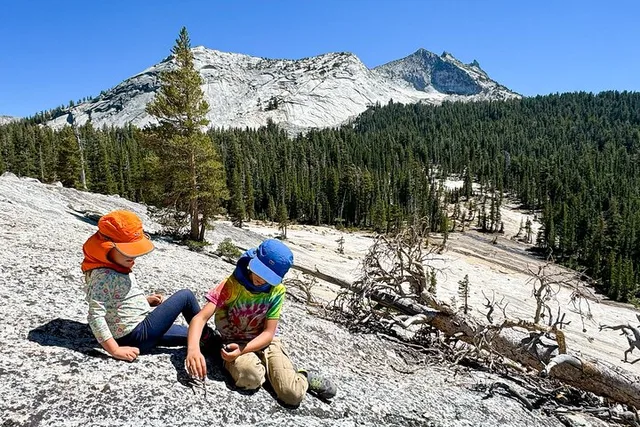 Yosemite Private Tour for Families - Image 6