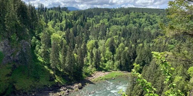 Seattle Waterfalls & Hiking Tour - Image 4