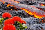 Hilo Volcano, Waterfalls and Beach Tour with Lunch 7 hr thumbnail 1