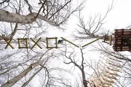 Lexington Aerial Adventure in the Trees 2 hr thumbnail 5
