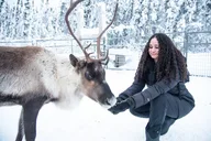 Borealis Basecamp Reindeer and Snowmobile Day Trip thumbnail 5