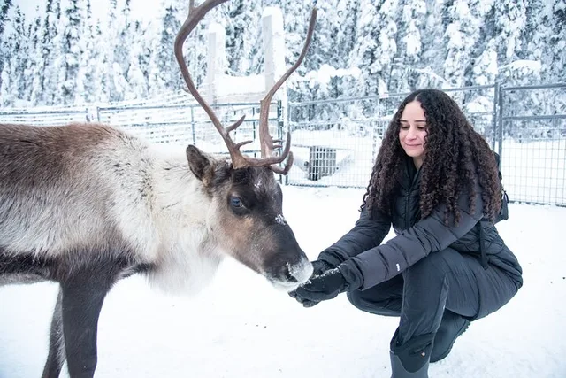 Borealis Basecamp Reindeer and Snowmobile Day Trip - Image 5