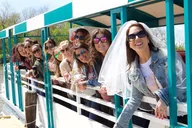 New Orleans Bayou Boat Tour thumbnail 3