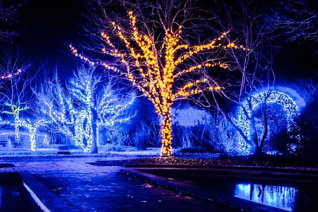 Franklin Christmas Lights Tour - Image 1