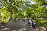 New York Central Park Self-Guided Walking Tour thumbnail 2
