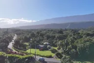 Maui Sea Turtle and Waterfalls Tour thumbnail 4