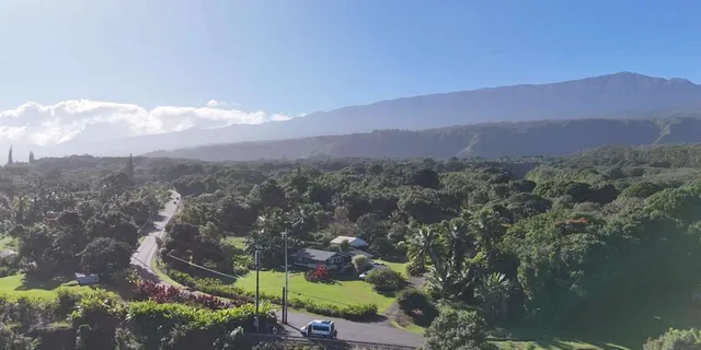 Maui Sea Turtle and Waterfalls Tour - Image 4