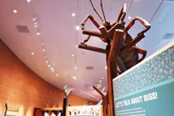 Tucson Science Center Entry Ticket thumbnail 5
