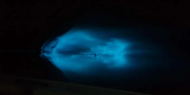 Cocoa Beach Bioluminescence Boat Tour 2 hr - Image 2