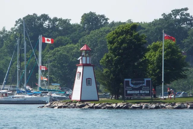 Clayton Islands Boat Tour 2 hr - Image 4